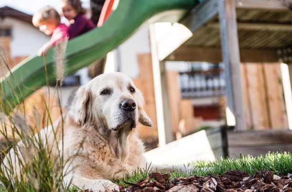 Tuberis Life Balance & Nature Farm ****S - Hotel Tuberis Nature Spa Resort Impressionen Spielplatz 1