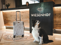 Wiesenhof Garden Resort****S - Wiesenhof 10 2024 163